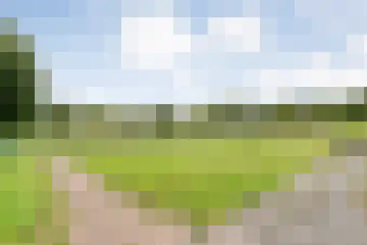 Tauvlinder 23 Meppel thumbnail 146