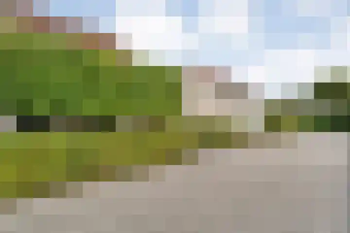 Tauvlinder 23 Meppel thumbnail 148
