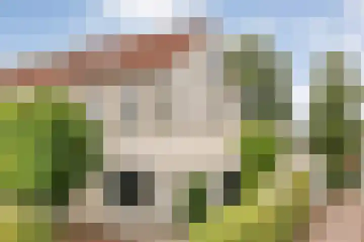 Tauvlinder 23 Meppel thumbnail 151