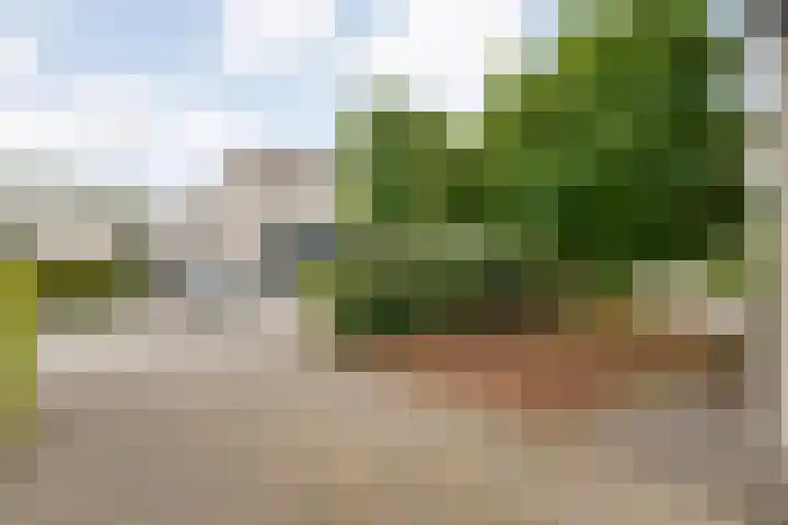 Tauvlinder 23 Meppel thumbnail 156