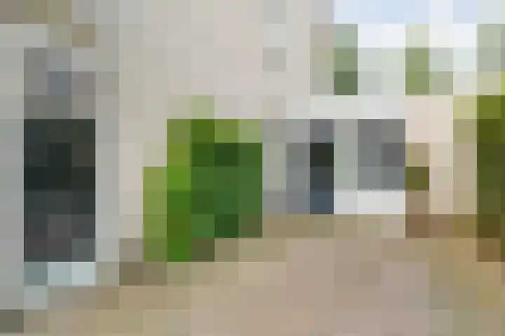 Tauvlinder 23 Meppel thumbnail 162