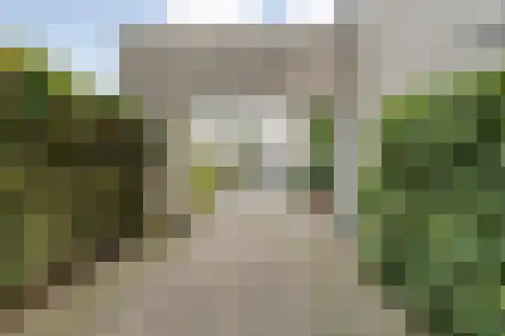 Tauvlinder 23 Meppel thumbnail 164