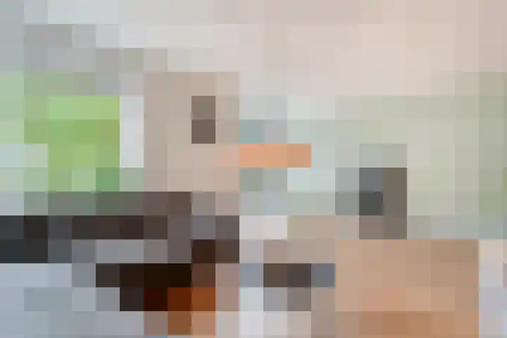 Tauvlinder 23 Meppel thumbnail 18