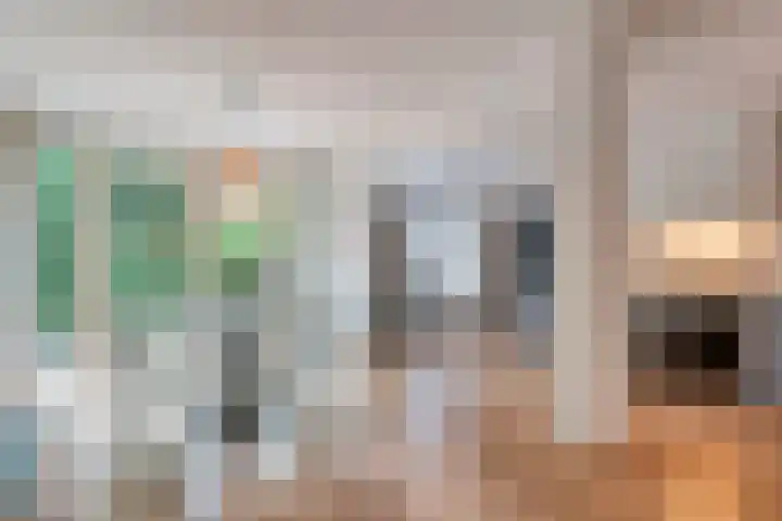 Tauvlinder 23 Meppel thumbnail 22