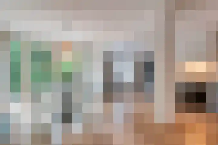 Tauvlinder 23 Meppel thumbnail 23