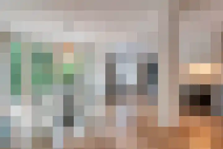 Tauvlinder 23 Meppel thumbnail 24