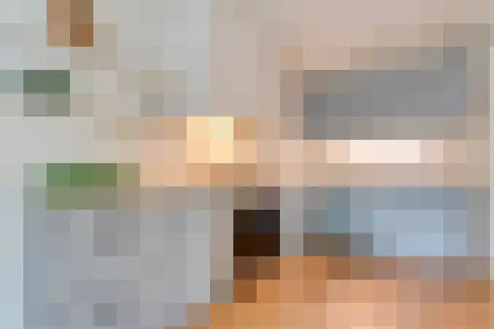 Tauvlinder 23 Meppel thumbnail 29