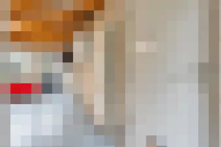 Tauvlinder 23 Meppel thumbnail 39