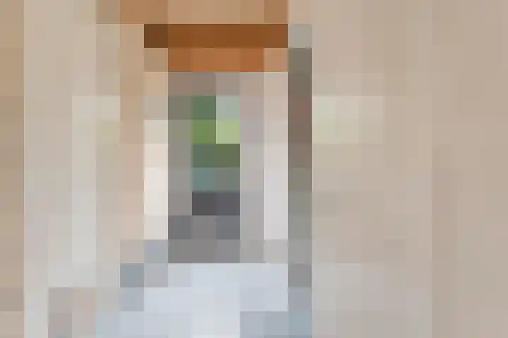 Tauvlinder 23 Meppel thumbnail 40