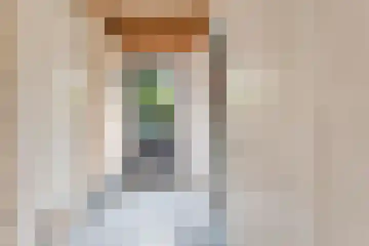 Tauvlinder 23 Meppel thumbnail 41