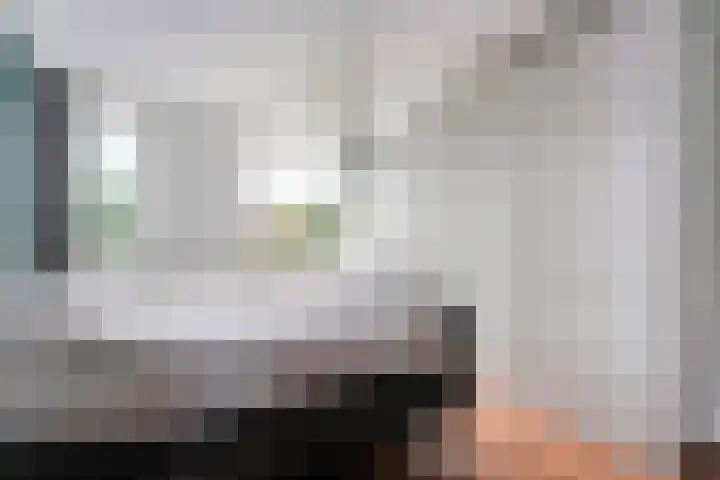 Tauvlinder 23 Meppel thumbnail 66