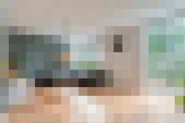 Tauvlinder 23 Meppel thumbnail 7