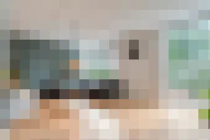 Tauvlinder 23 Meppel thumbnail 9
