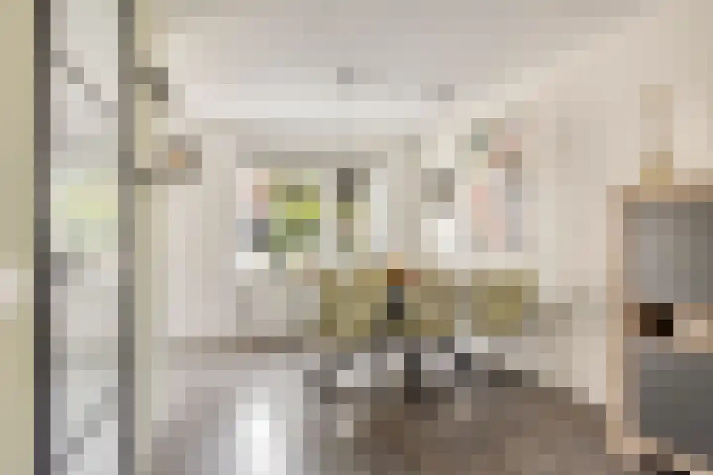 Tauvlinder 43 Meppel thumbnail 16