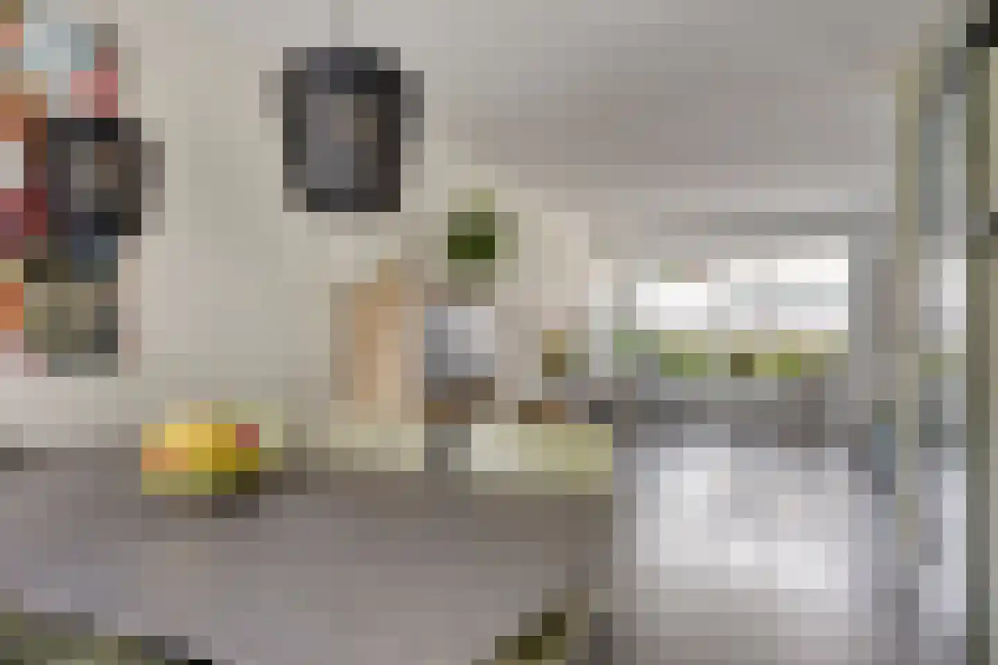 Tauvlinder 43 Meppel thumbnail 18