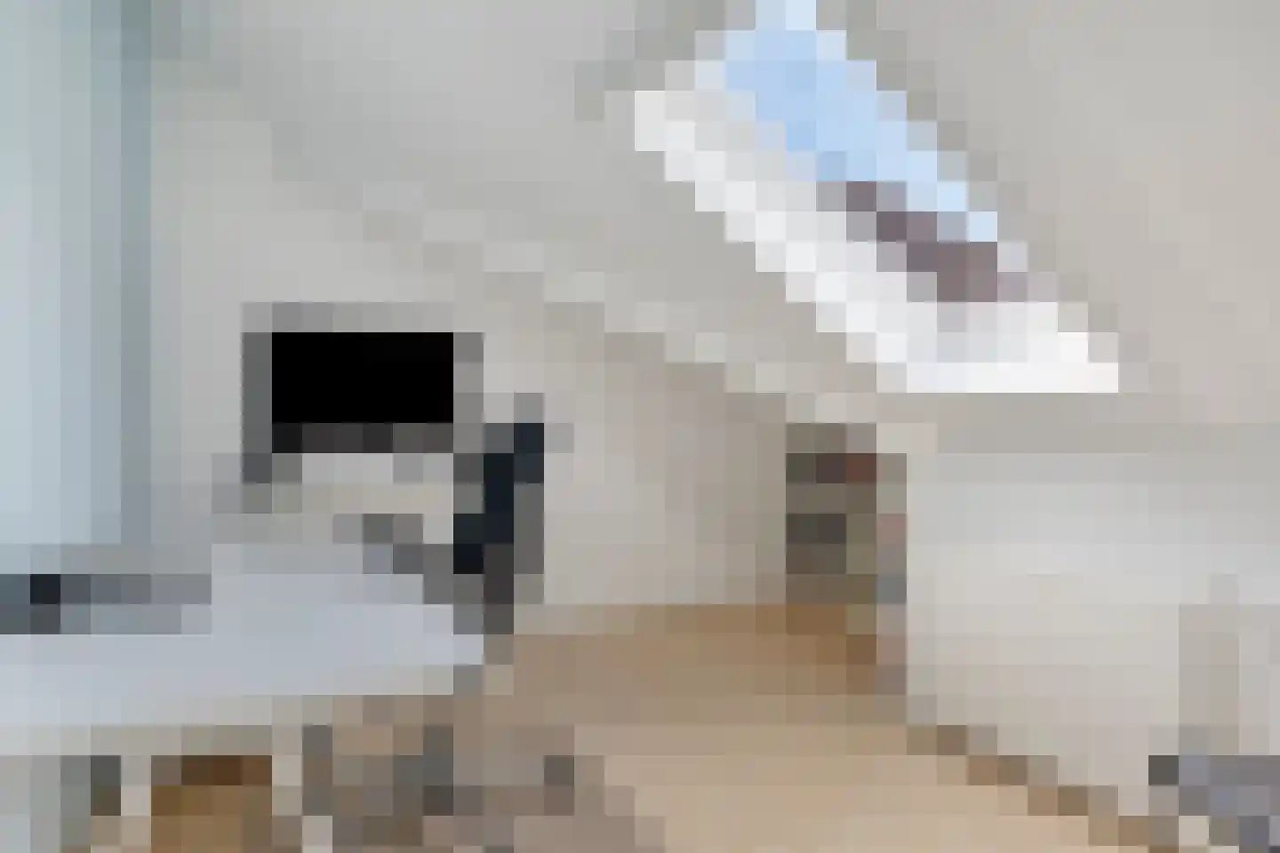 Tauvlinder 43 Meppel thumbnail 32