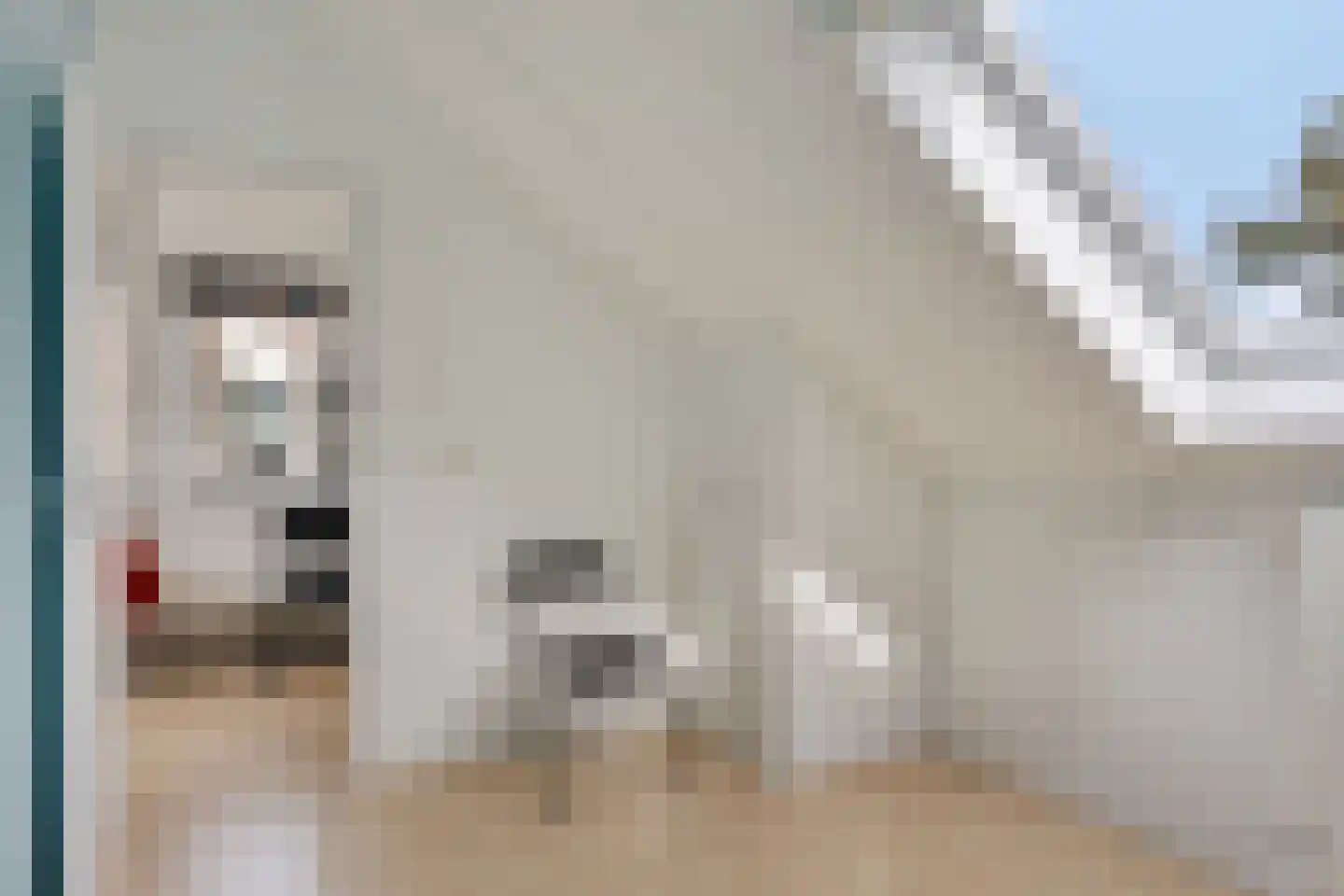 Tauvlinder 43 Meppel thumbnail 36