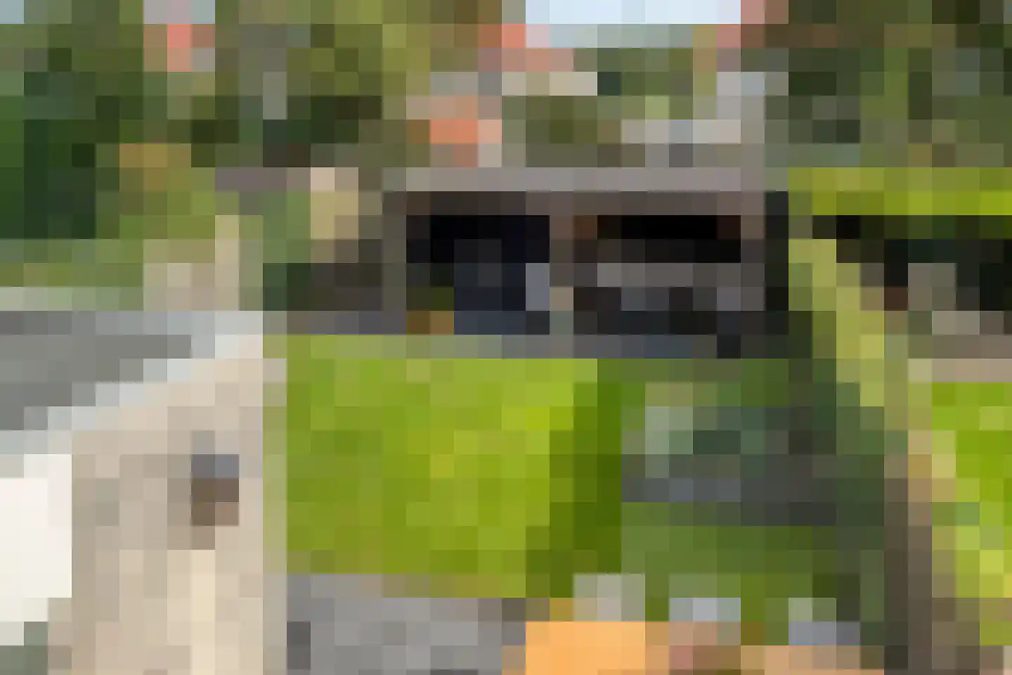 Tauvlinder 43 Meppel thumbnail 37