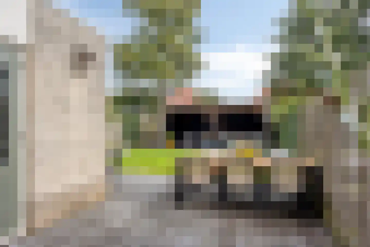 Tauvlinder 43 Meppel thumbnail 38
