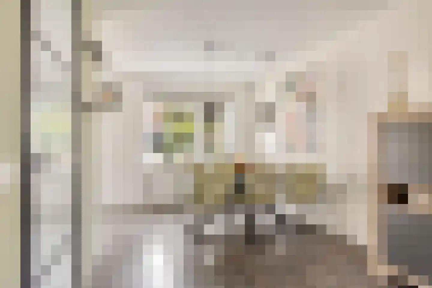 Tauvlinder 43 Meppel thumbnail 4