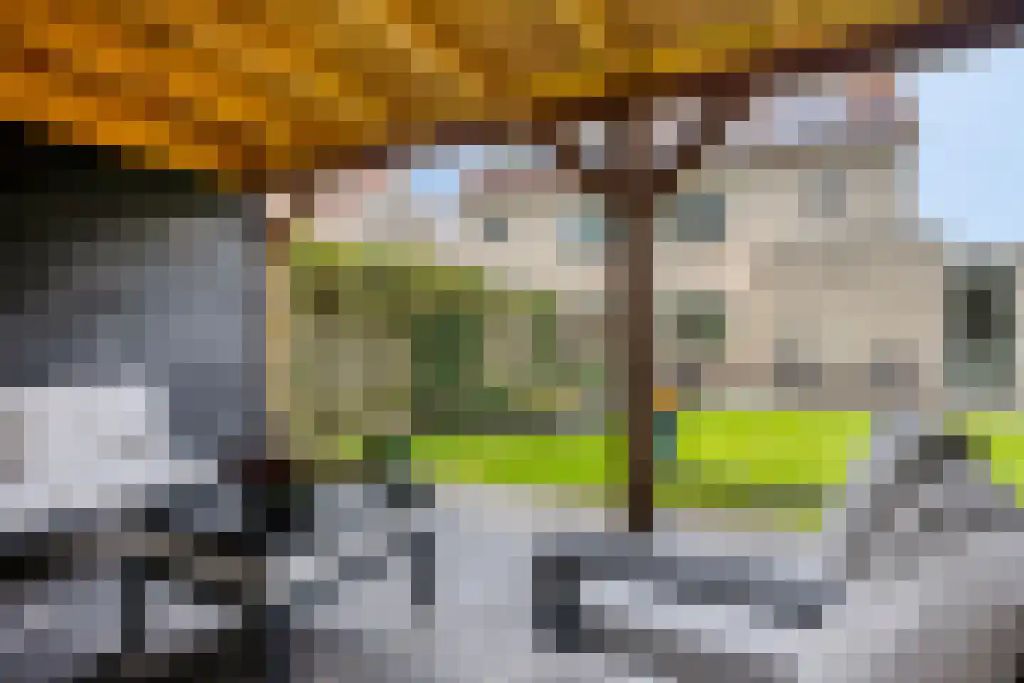 Tauvlinder 43 Meppel thumbnail 44