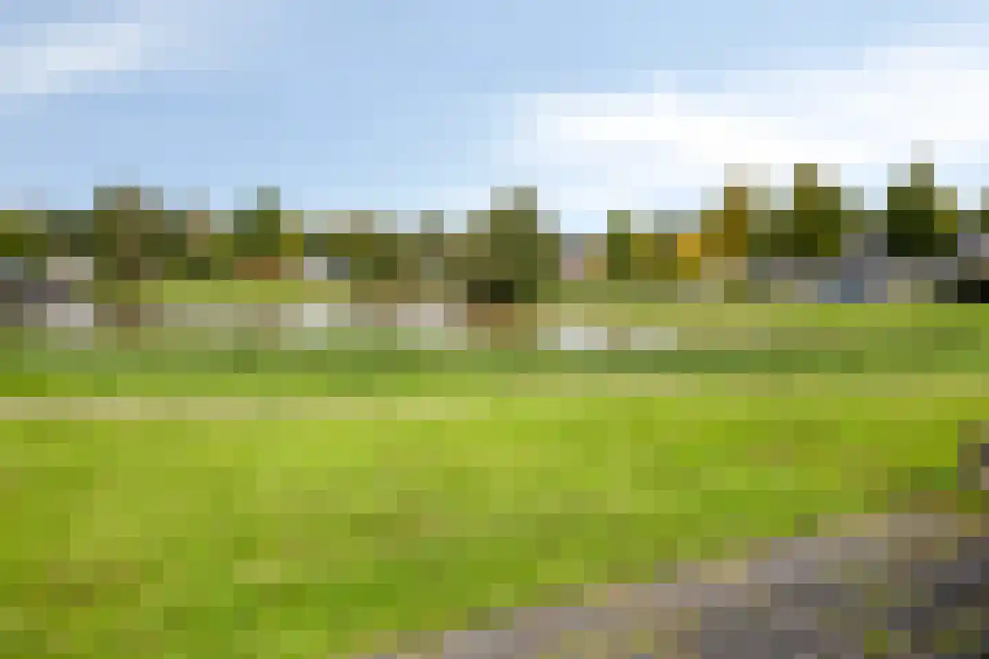 Tauvlinder 43 Meppel thumbnail 51