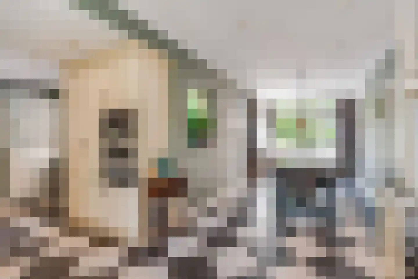 Taveernelaan 1 D Bosch en Duin thumbnail 10