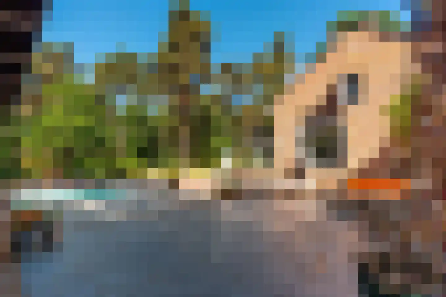 Taveernelaan 1 D Bosch en Duin thumbnail 11