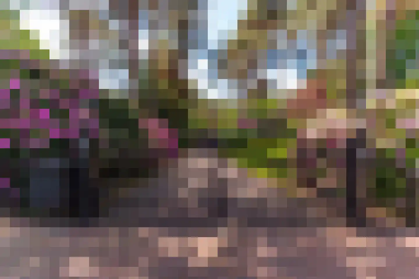 Taveernelaan 1 D Bosch en Duin thumbnail 4