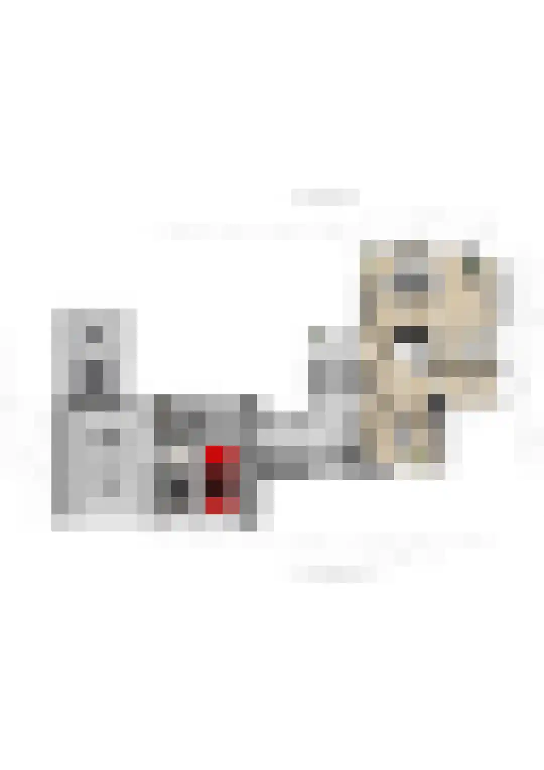 Taveernelaan 1 D Bosch en Duin thumbnail 50