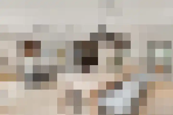 Taveernelaan 46 Bosch en Duin thumbnail 14
