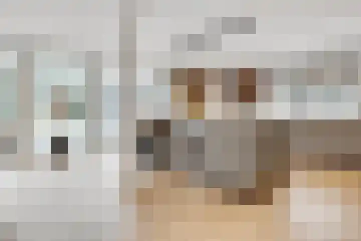 Taveernelaan 46 Bosch en Duin thumbnail 15