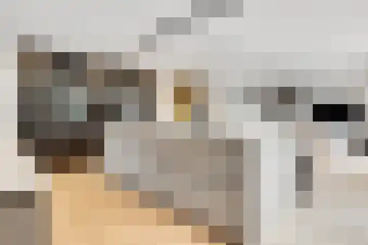 Taveernelaan 46 Bosch en Duin thumbnail 16