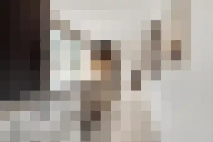 Taveernelaan 46 Bosch en Duin thumbnail 18