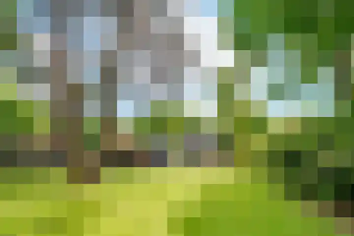 Taveernelaan 46 Bosch en Duin foto 2