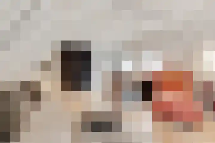 Taveernelaan 46 Bosch en Duin thumbnail 21