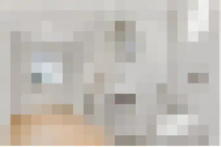 Taveernelaan 46 Bosch en Duin thumbnail 23