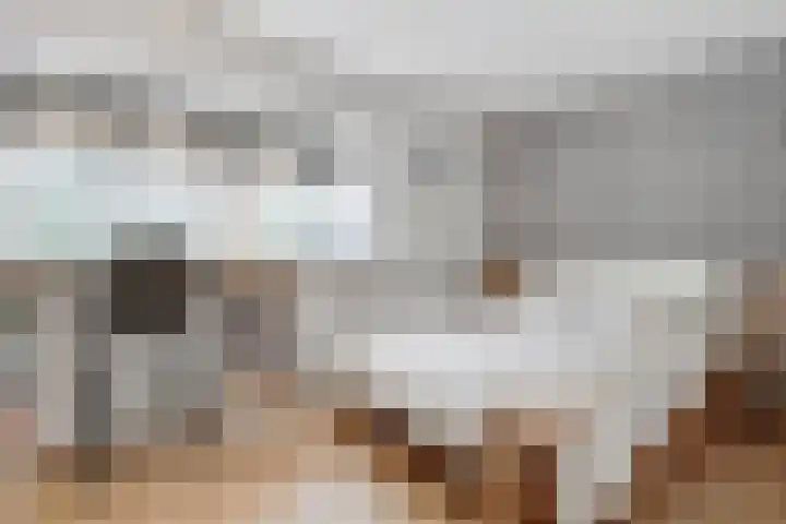 Taveernelaan 46 Bosch en Duin thumbnail 24