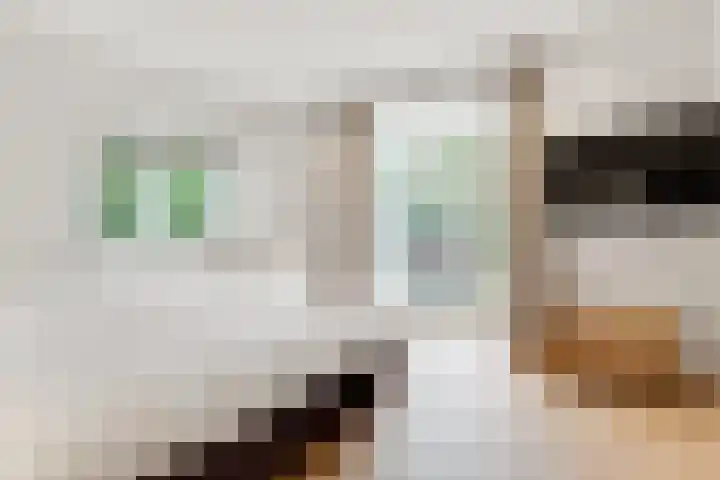 Taveernelaan 46 Bosch en Duin thumbnail 28