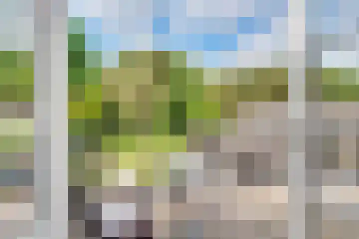 Taveernelaan 46 Bosch en Duin thumbnail 29