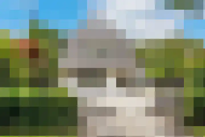 Taveernelaan 46 Bosch en Duin foto 3