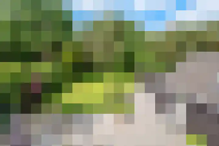Taveernelaan 46 Bosch en Duin thumbnail 30