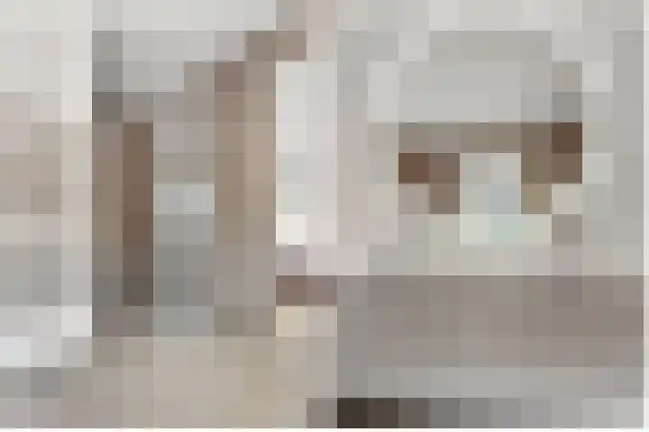 Taveernelaan 46 Bosch en Duin thumbnail 33