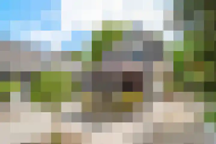 Taveernelaan 46 Bosch en Duin thumbnail 40