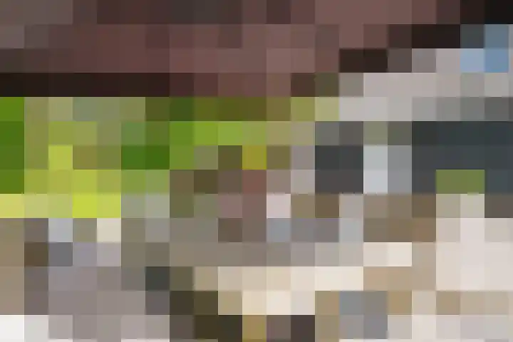 Taveernelaan 46 Bosch en Duin thumbnail 42