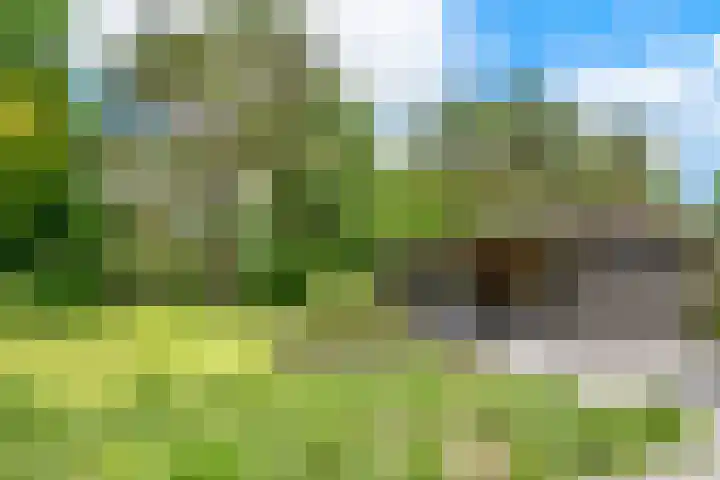 Taveernelaan 46 Bosch en Duin thumbnail 43