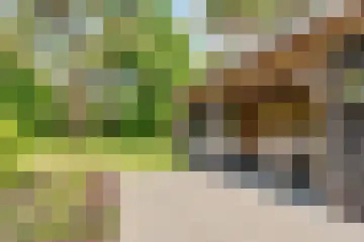 Taveernelaan 46 Bosch en Duin thumbnail 44