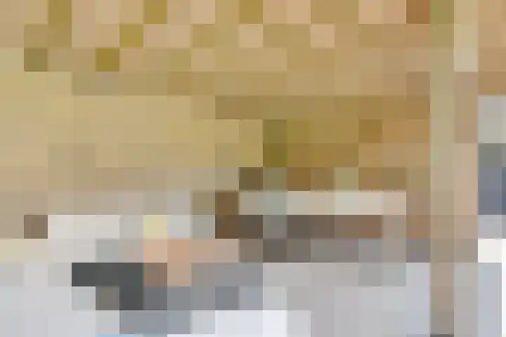 Taveernelaan 46 Bosch en Duin thumbnail 45