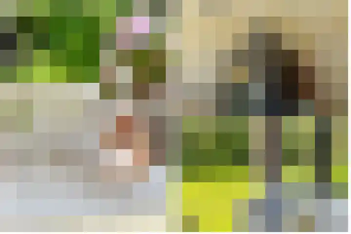 Taveernelaan 46 Bosch en Duin thumbnail 46