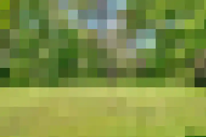 Taveernelaan 46 Bosch en Duin thumbnail 47